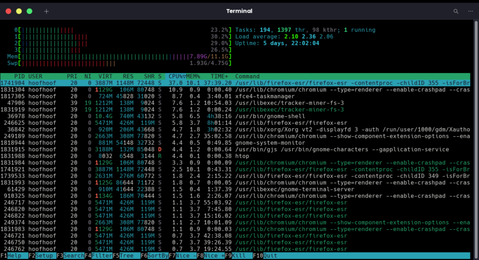 Display background processes, uptime, and memory usage on Linux using htop